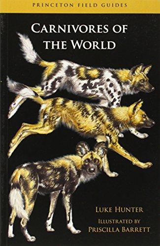 Imagen de archivo de Carnivores of the World (Princeton Field Guides, 78) a la venta por HPB-Emerald