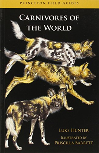 Stock image for Carnivores of the World (Princeton Field Guides, 78) for sale by Save With Sam