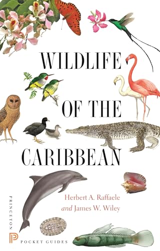 9780691153827: Wildlife of the Caribbean (Princeton Pocket Guides)