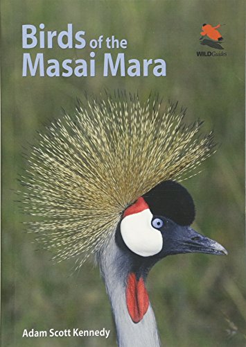 Stock image for Birds of the Masai Mara (Wildlife Explorer Guides, 4) for sale by St Vincent de Paul of Lane County