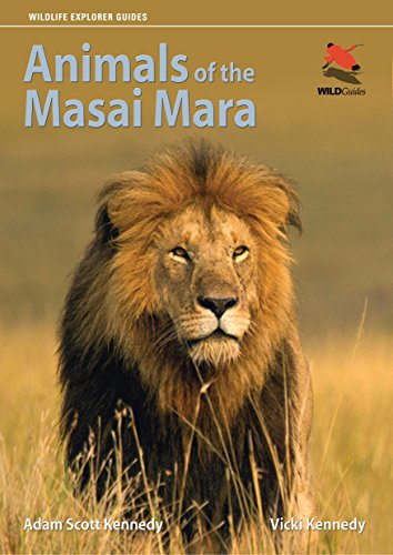 Stock image for Animals of the Masai Mara (Wildlife Explorer Guides, 5) for sale by Red's Corner LLC