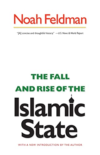 9780691156248: The Fall and Rise of the Islamic State