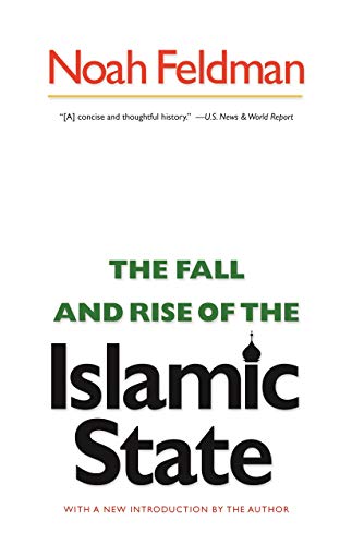 Stock image for The Fall and Rise of the Islamic State for sale by Better World Books