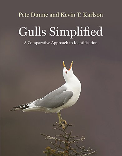 Stock image for Gulls Simplified: A Comparative Approach to Identification for sale by BooksRun