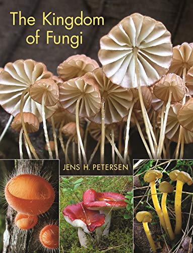 Imagen de archivo de The Kingdom of Fungi a la venta por HPB-Ruby