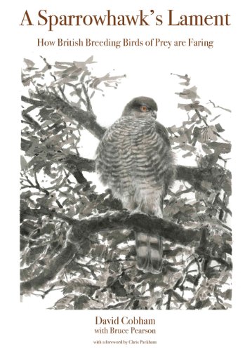 A Sparrowhawk's Lament: How British Breeding Birds of Prey Are Faring