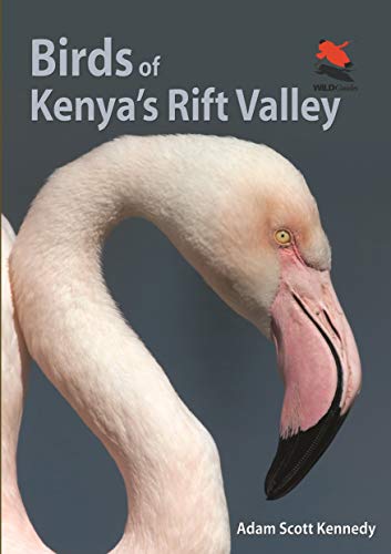 Stock image for Birds of Kenya's Rift Valley (Wildlife Explorer Guides, 11) for sale by Irish Booksellers