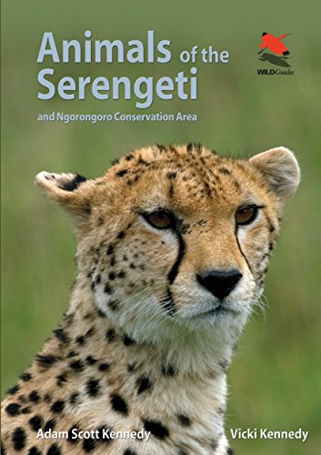 Stock image for Animals of the Serengeti: And Ngorongoro Conservation Area (Wildlife Explorer Guides, 8) for sale by Chaparral Books