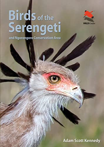 Stock image for Birds of the Serengeti - And Ngorongoro Conservation Area for sale by PBShop.store US