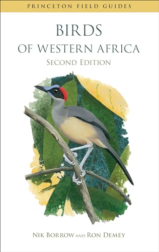 9780691159201: Birds of Western Africa: Second Edition (Princeton Field Guides) [Idioma Ingls]: 96