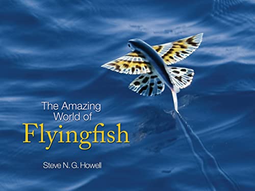 Beispielbild fr The Amazing World of Flyingfish zum Verkauf von Better World Books