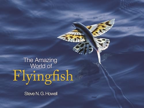 Imagen de archivo de The Amazing World of Flyingfish a la venta por Blackwell's