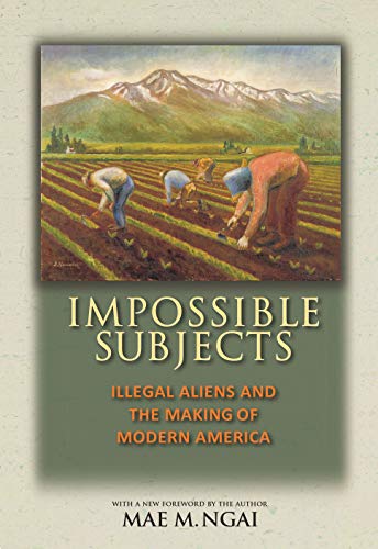 9780691160825: Impossible Subjects: Illegal Aliens and the Making of Modern America - Updated Edition: 105 (Politics and Society in Modern America, 105)