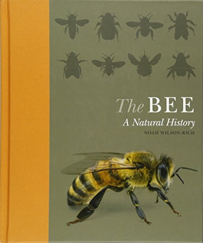 Stock image for The Bee: A Natural History for sale by ThriftBooks-Dallas