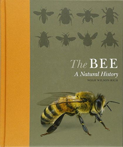 Stock image for The Bee: A Natural History for sale by Ergodebooks