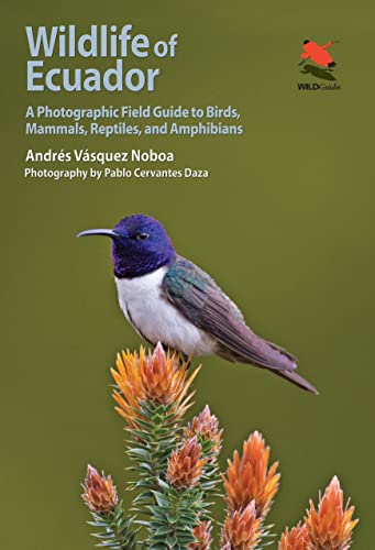 9780691161365: Wildlife of Ecuador – A Photographic Field Guide to Birds, Mammals, Reptiles, and Amphibians: 15 (Wildlife Explorer Guides, 15)