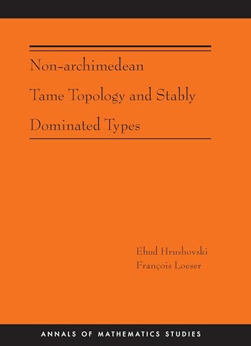 9780691161686: Non–Archimedean Tame Topology and Stably Dominated Types (AM–192) (Annals of Mathematics Studies, 192)