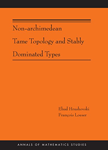 9780691161693: Non-archimedean tame topology and stably dominated types