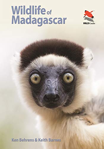 Stock image for Wildlife of Madagascar (Wildlife Explorer Guides, 14) for sale by Zoom Books Company