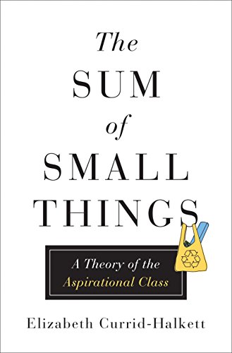 9780691162737: The Sum of Small Things: A Theory of the Aspirational Class