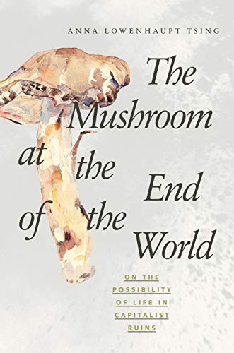 Beispielbild fr The Mushroom at the End of the World: On the Possibility of Life in Capitalist Ruins zum Verkauf von BooksRun