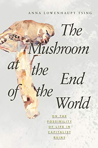 9780691162751: The Mushroom at the End of the World: On the Possibility of Life in Capitalist Ruins