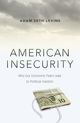 9780691162966: American Insecurity: Why Our Economic Fears Lead to Political Inaction