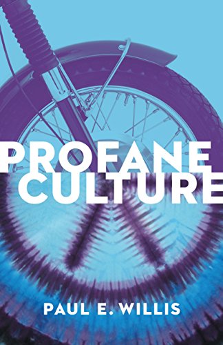 9780691163697: Profane Culture: Updated Edition