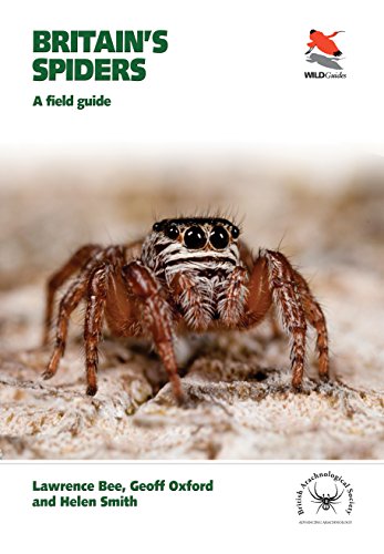 Beispielbild fr Britain's Spiders: A Field Guide zum Verkauf von Old Village Books