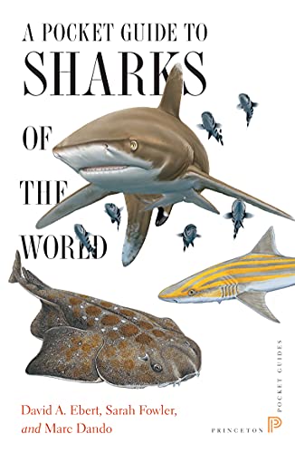 Imagen de archivo de A Pocket Guide to Sharks of the World a la venta por ThriftBooks-Dallas