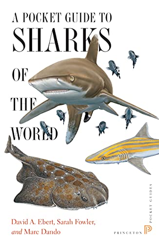 Stock image for A Pocket Guide to Sharks of the World (Princeton Pocket Guides, 12) for sale by Books of the Smoky Mountains