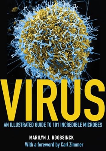 

Virus