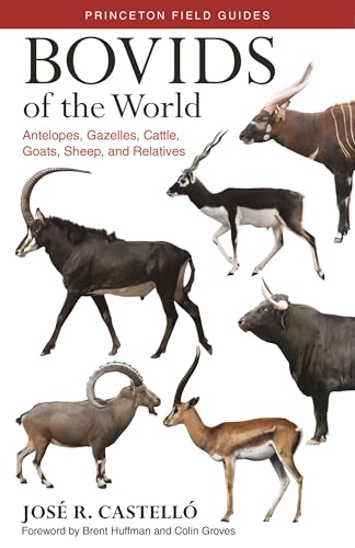 9780691167176: Bovids of the World: Antelopes, Gazelles, Cattle, Goats, Sheep, and Relatives (Princeton Field Guides, 104)