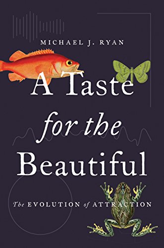 Beispielbild fr A Taste for the Beautiful : The Evolution of Attraction zum Verkauf von Better World Books