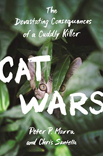 Stock image for Cat Wars for sale by Blackwell's