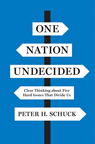 9780691167435: One Nation Undecided: Clear Thinking about Five Hard Issues That Divide Us