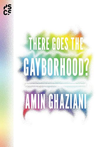 9780691168418: There Goes the Gayborhood?: 68 (Princeton Studies in Cultural Sociology)
