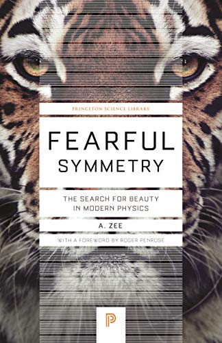 Imagen de archivo de Fearful Symmetry: The Search for Beauty in Modern Physics a la venta por ThriftBooks-Atlanta
