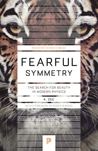 9780691173269: Fearful Symmetry: The Search for Beauty in Modern Physics: 48 (Princeton Science Library, 48)