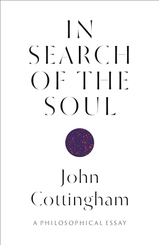Stock image for In Search of the Soul: A Philosophical Essay for sale by SecondSale