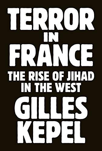 Imagen de archivo de Terror in France: The Rise of Jihad in the West (Princeton Studies in Muslim Politics, 64) a la venta por Books-FYI, Inc.