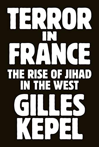 Stock image for Terror in France: The Rise of Jihad in the West (Princeton Studies in Muslim Politics, 64) for sale by ZBK Books