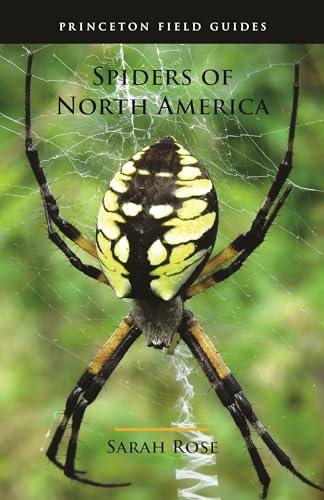 Beispielbild fr Spiders of North America zum Verkauf von Blackwell's