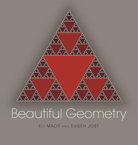 9780691175881: Beautiful Geometry