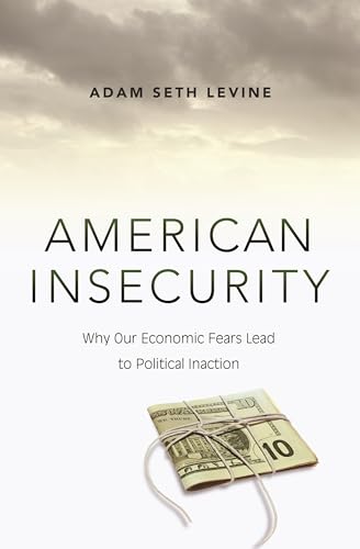 Stock image for American Insecurity: Why Our Economic Fears Lead to Political Inaction for sale by THE SAINT BOOKSTORE