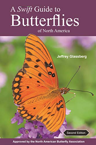 Stock image for A Swift Guide to Butterflies of North America: Second Edition for sale by Arundel Books