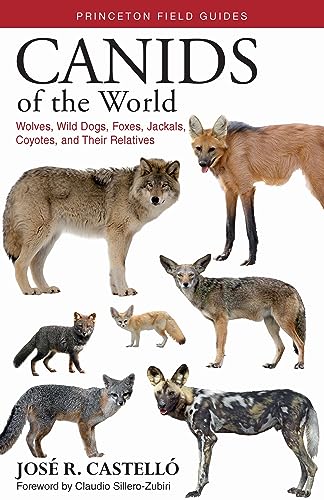 9780691176857: Canids of the World: Wolves, Wild Dogs, Foxes, Jackals, Coyotes, and Their Relatives: 116 (Princeton Field Guides)