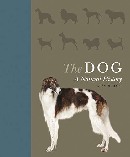 Stock image for The Dog: A Natural History for sale by GF Books, Inc.