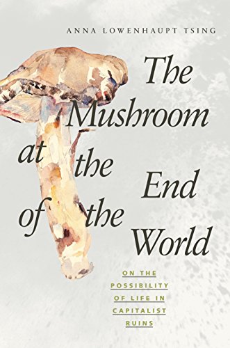 Beispielbild fr The Mushroom at the End of the World: On the Possibility of Life in Capitalist Ruins zum Verkauf von Books Unplugged