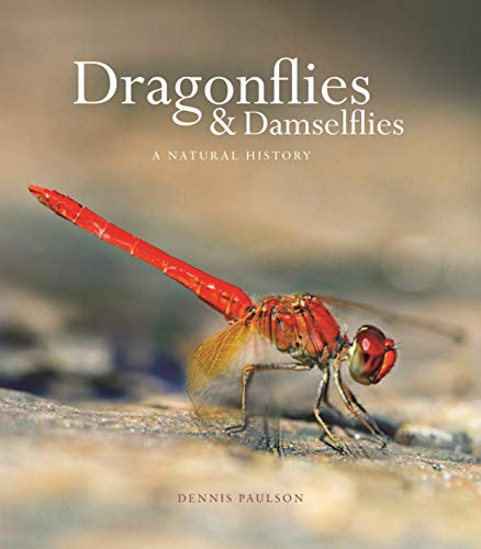 Beispielbild fr Dragonflies &amp; Damselflies zum Verkauf von Blackwell's
